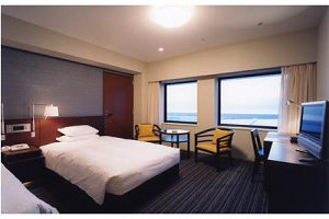 ../../intranet/hotel1/show_hotel_images.asp?hotel_id=HJPNNGO28&field_name=images_2