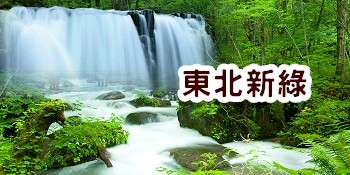東北仙台花卷青森